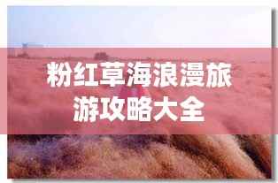 niaojingshucuan 第5页