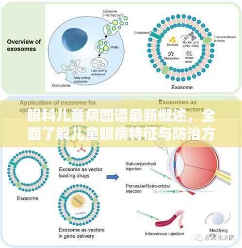 眼科儿童病图谱最新概述，全面了解儿童眼病特征与防治方法