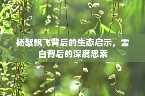 杨絮飘飞背后的生态启示,雪白背后的深度思索