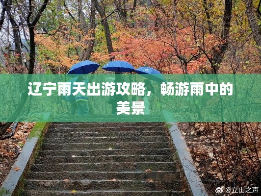 辽宁雨天出游攻略，畅游雨中的美景