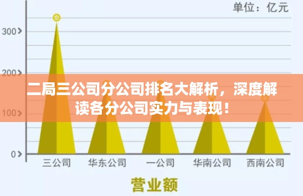 二局三公司分公司排名大解析,深度解读各分公司实力与表现!