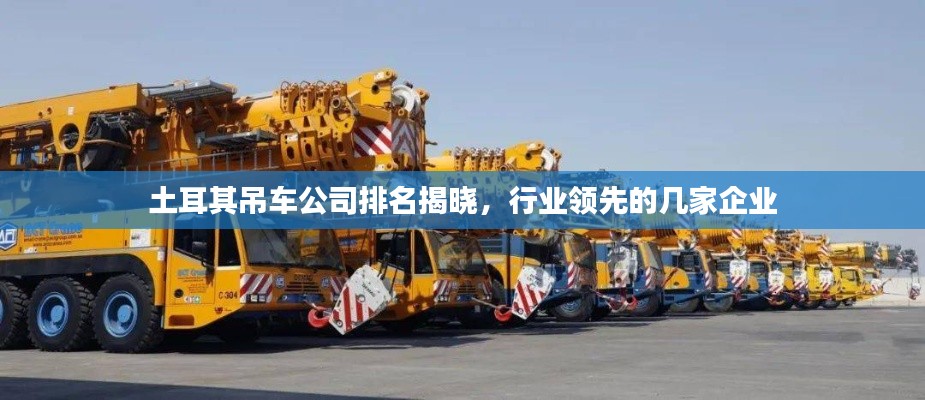 土耳其吊车公司排名揭晓,行业领先的几家企业