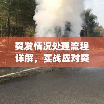 突发情况处理流程详解,实战应对突发事件的实用指南视频