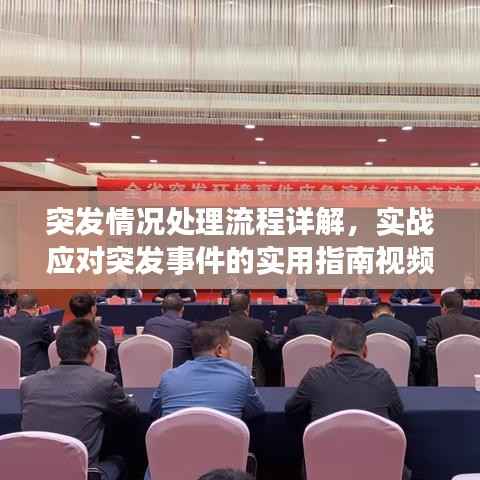 突发情况处理流程详解,实战应对突发事件的实用指南视频