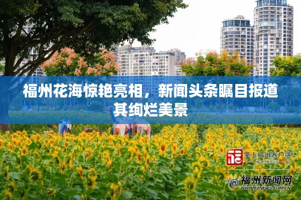 福州花海惊艳亮相,新闻头条瞩目报道其绚烂美景