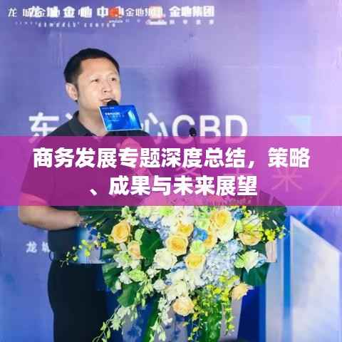 商务发展专题深度总结，策略、成果与未来展望