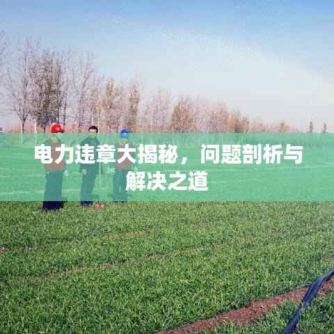 tuijinsongbao 第5页