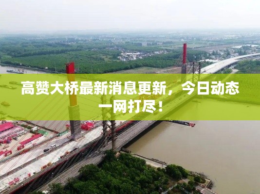高赞大桥最新消息更新,今日动态一网打尽!