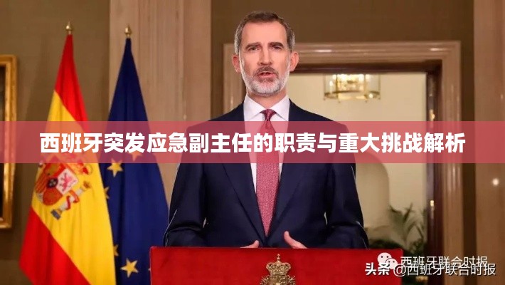 西班牙突发应急副主任的职责与重大挑战解析