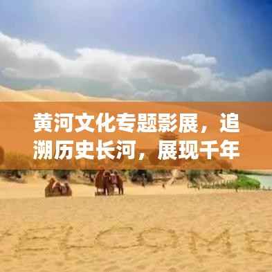 黄河文化专题影展，追溯历史长河，展现千年魅力