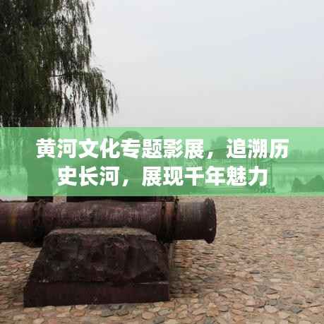 黄河文化专题影展,追溯历史长河,展现千年魅力