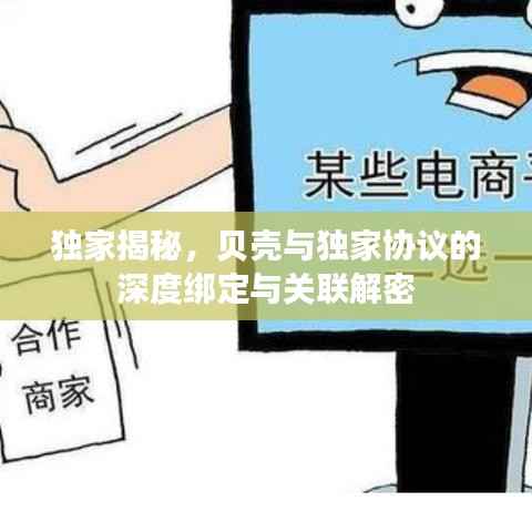 独家揭秘,贝壳与独家协议的深度绑定与关联解密