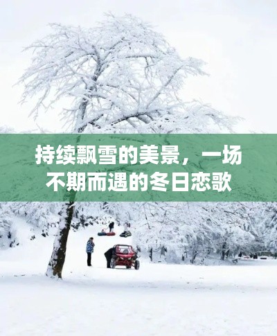 持续飘雪的美景，一场不期而遇的冬日恋歌