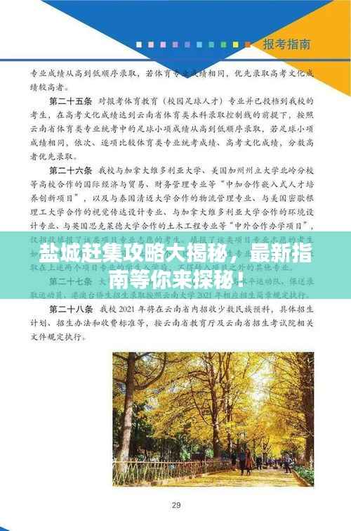 盐城赶集攻略大揭秘，最新指南等你来探秘！