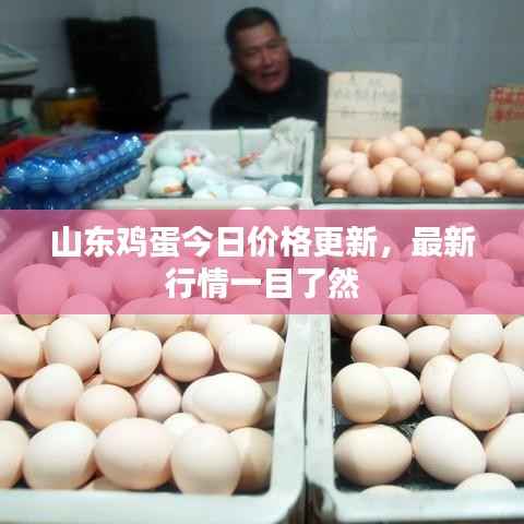 山东鸡蛋今日价格更新,最新行情一目了然