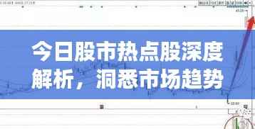 今日股市热点股深度解析,洞悉市场趋势,把握投资机会!