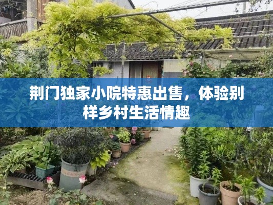 荆门独家小院特惠出售，体验别样乡村生活情趣