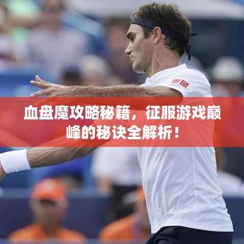 血盘魔攻略秘籍,征服游戏巅峰的秘诀全解析!